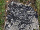 image number DSC_4463